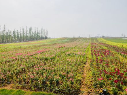 易達大講堂,第⑤①講堂開(kāi)課啦~243.png 易達大講堂,第⑤①講堂開(kāi)課啦~243.png